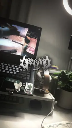 v miror