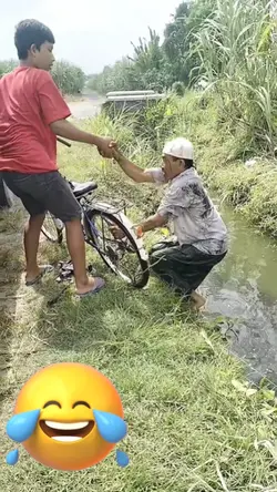 funny videos 