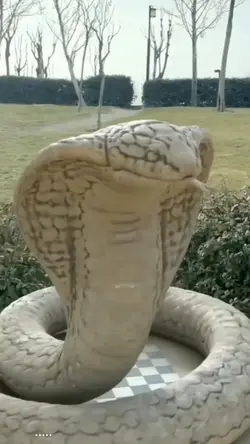 Boshashgan holatda jinsiy olatni 4 sm Aldash porno videolar