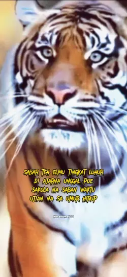 Quotes Khodam Macan