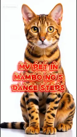 Mambo no. 5 Pet AI