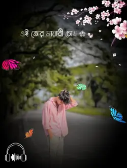 তোর ওই মায়াবী চোখ