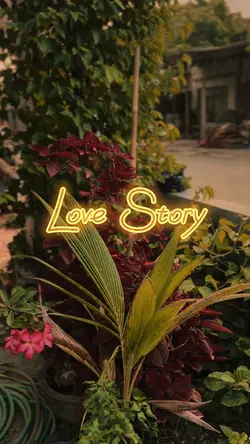 Love Story 9:16