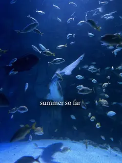 Summerrr