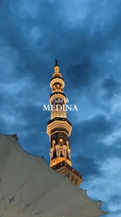 Qalbi Fil Medina