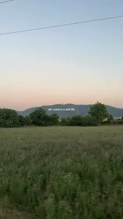a soft life