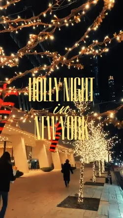 Holly Night In NYC