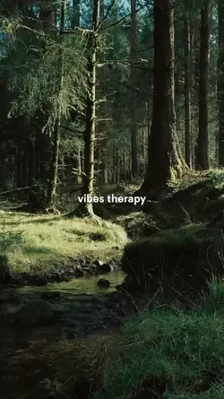vibes therapy 