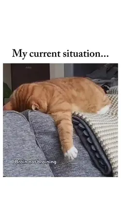 current situation