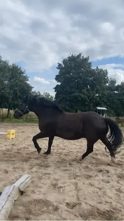 Bibi und Tina