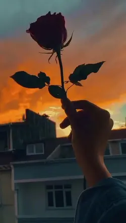 11 video or photo 