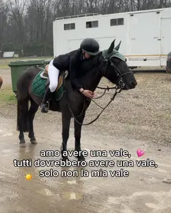 amo avere 