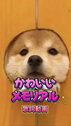 かわいいメモリアル