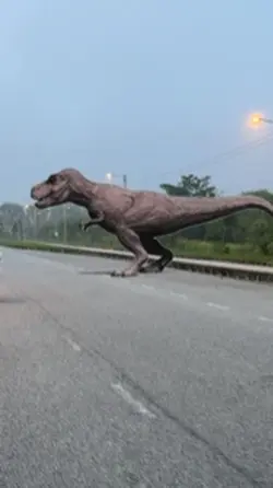 Dinosaur masih ujut!