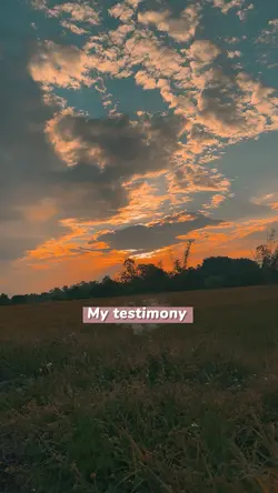 My testimony