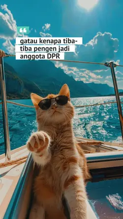 anggota DPR