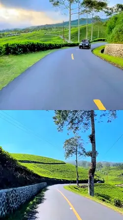 split screen road hd