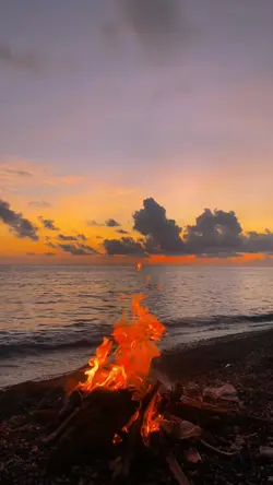Aesthetic SLOWMO