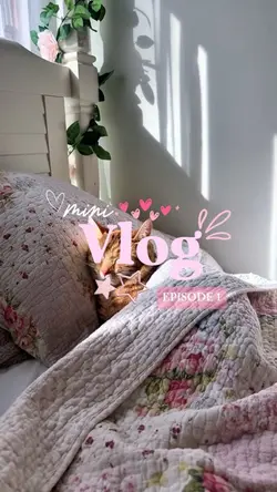 mini vlog intro