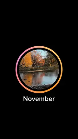 NOVEMBER STORY RECAP
