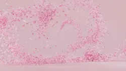 pink petals ¹⁴