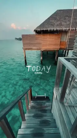 Today Activity