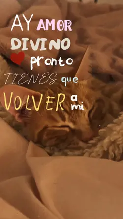 Te Extraño Mascotita