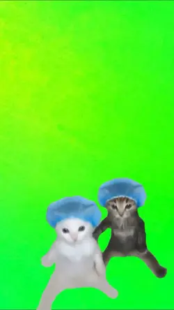 Kittys dancin