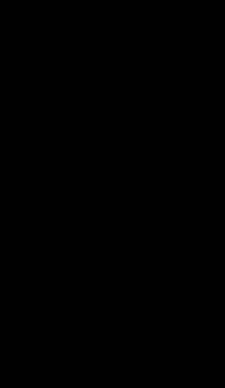 Story 
