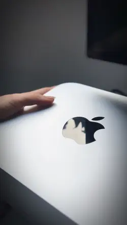 Unboxing