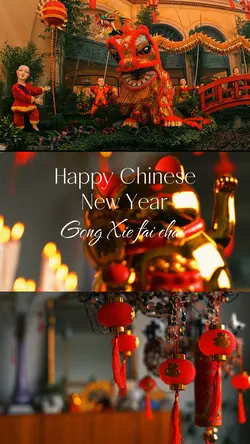 Lunar new year 