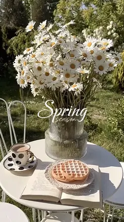 spring 
