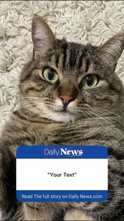 Mẫu Daily News