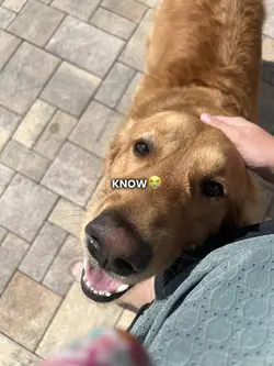 I know honey