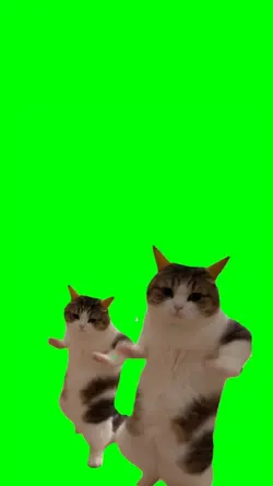 SHE IS SO BAD DANCE