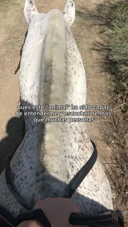 no solo un caballo 