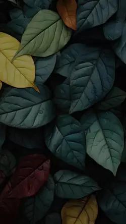 Sauqbilu Ya Kholiqi