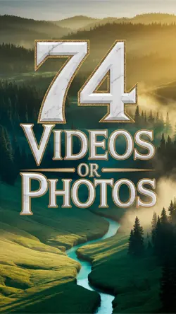 74 Videos
