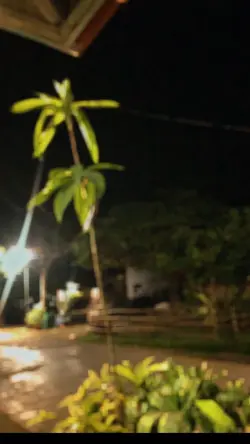 Night lonely