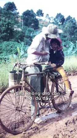 TÌNH CHA