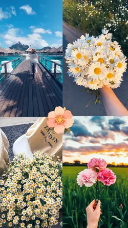 1 video + 3 photo