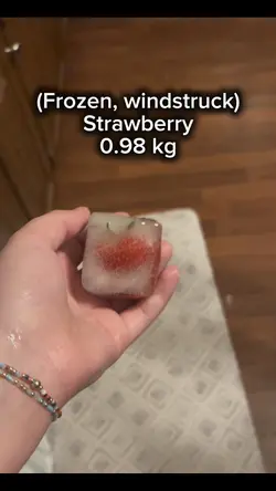 Grow a Garden irl?