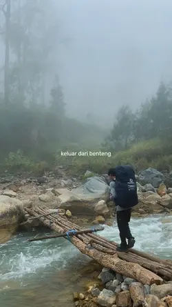 Tulus teh hijau