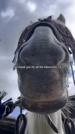 Memories <3
