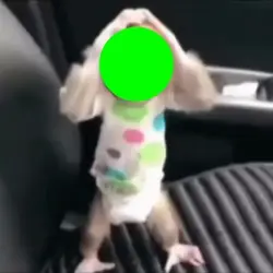 Maymun