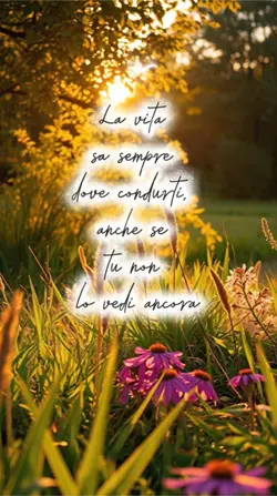 Frase del giorno
