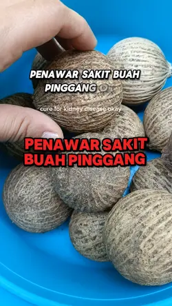 Buah Pinggang 