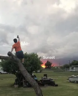 sunsets