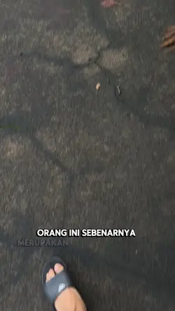 Ceo owoho