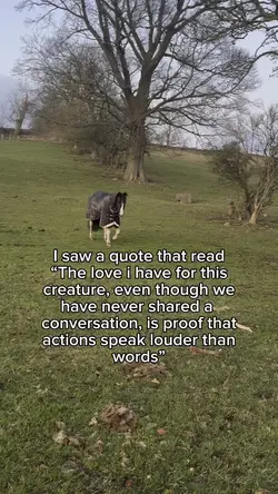equestrian quote